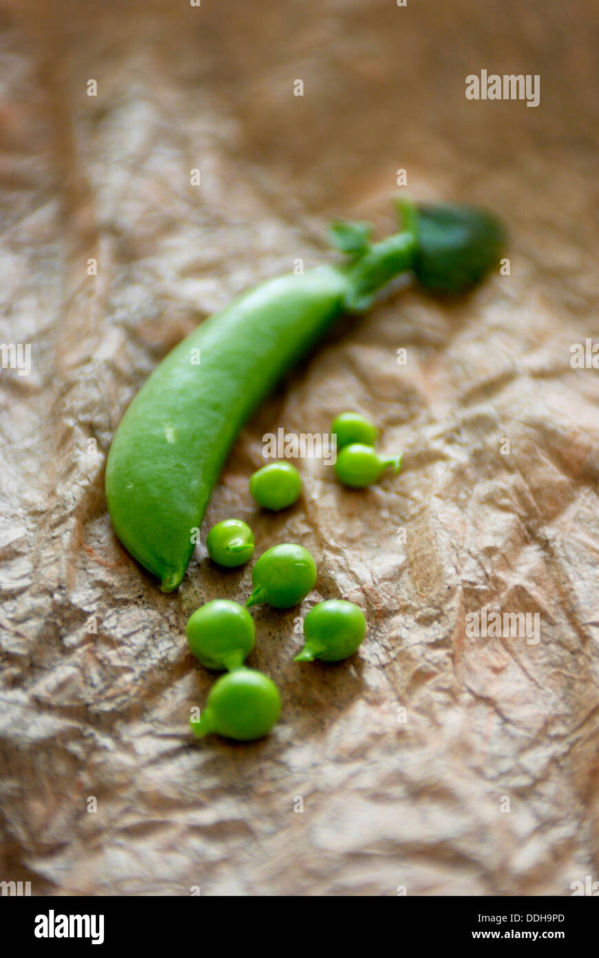 Shelled and unshelled sugar snap peas on a piece of brown crinkled cooking paper. Stock Photo