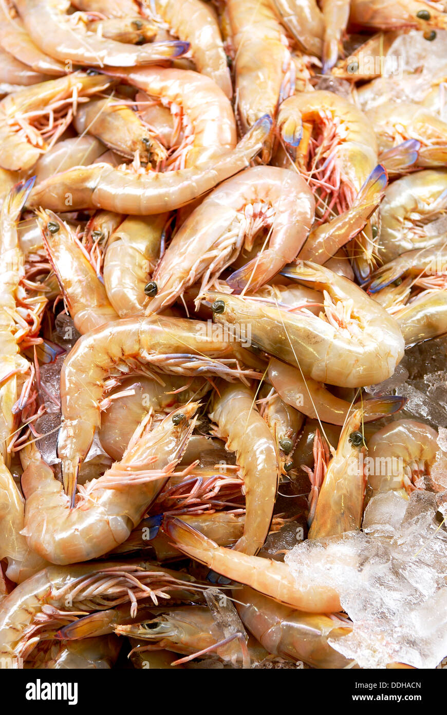 A pile of fresh green king prawns on ice Stock Photo - Alamy