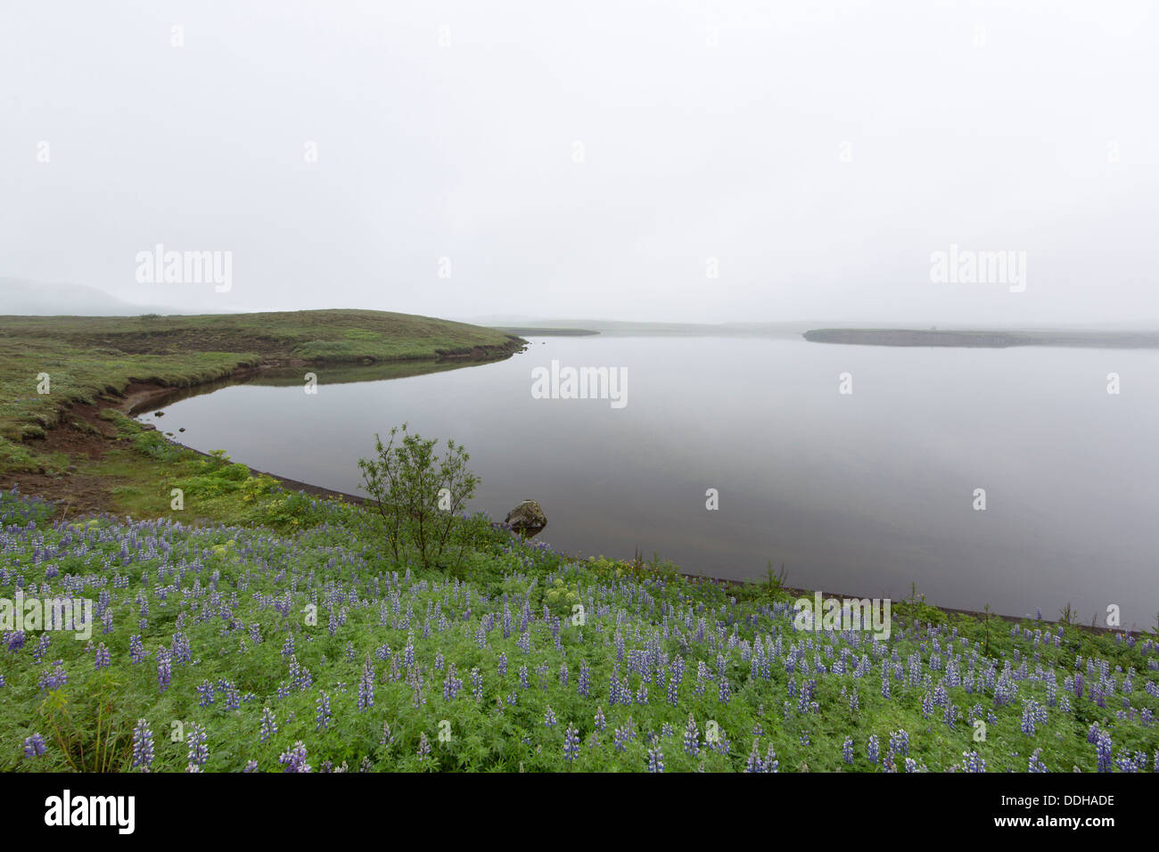 Scenery in the fog at the lake Ulfljotsvatn, south Iceland - Þoka við Úlfljótsvatn Stock Photo