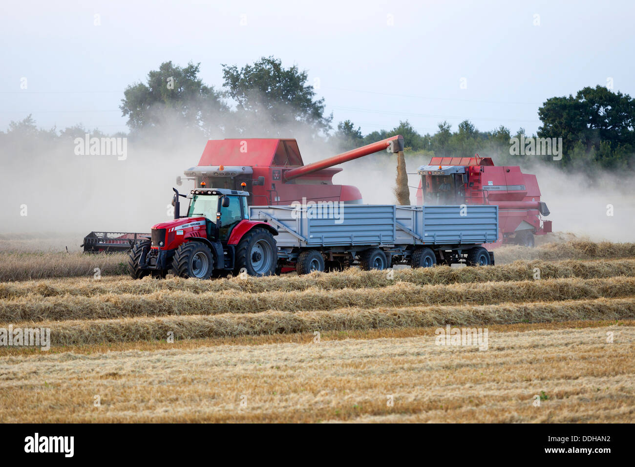 Germany/Brandenburg/Wassmannsdorf, a grain harvester seen on a field in Wassmannsdorf (Brandenburg), 22 Aug 2013 Stock Photo