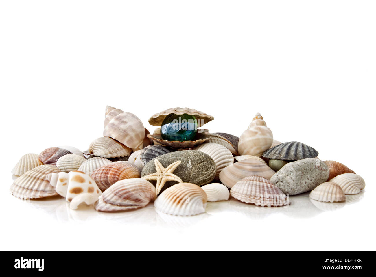 various color shells with stylized pearl isolated on white Stock Photo