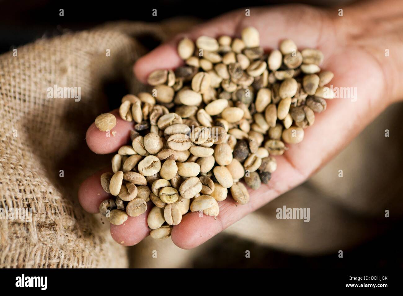 Coffee beans, Brazil Stock Photo Alamy