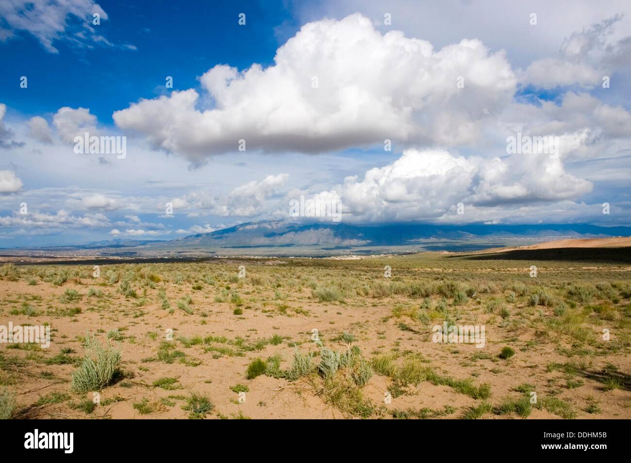 New Mexico Desert USA Stock Photo Alamy