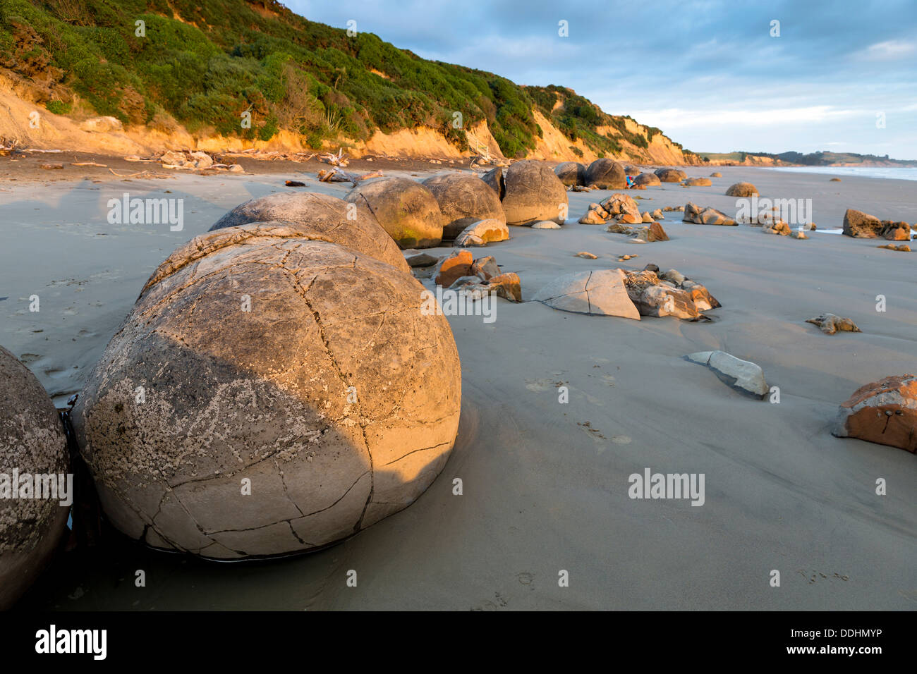 Moeraki Boulders in the morning light Stock Photo