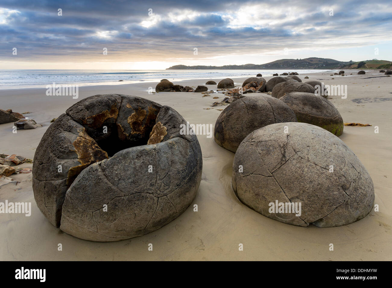 Moeraki Boulders on the beach in the early morning Stock Photo