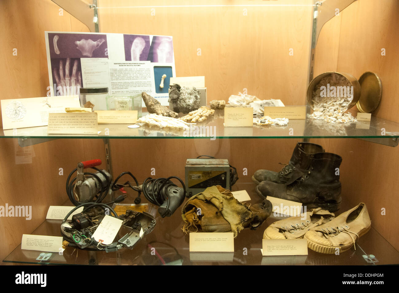 Remains from crime scenes on display in education facility at the State Medical Examiners Office, the Morgue Stock Photo