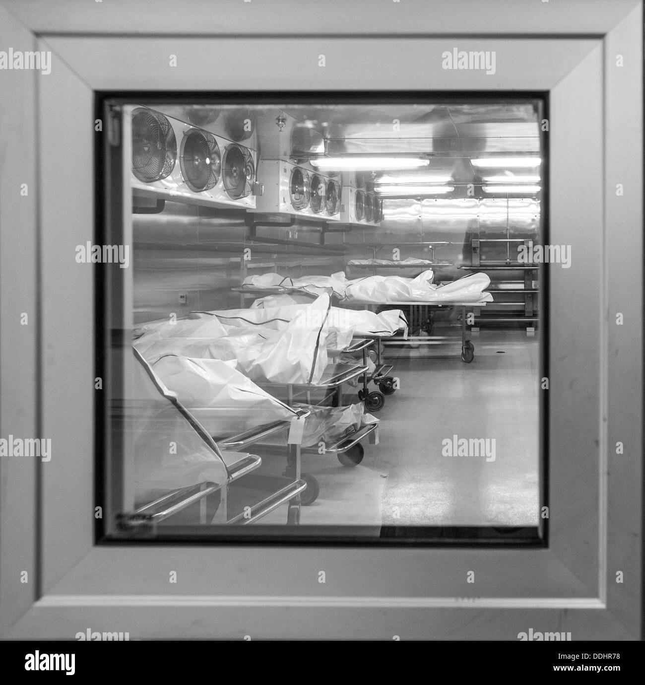Corpses in the cooler of the State Medical Examiners Office - Morgue Stock Photo