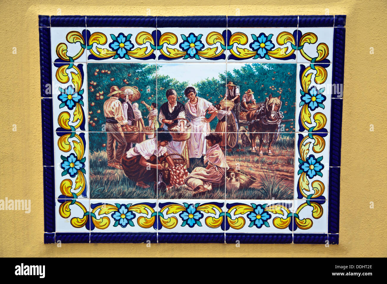 Spain oranges harvesting not harvest hires stock photography and