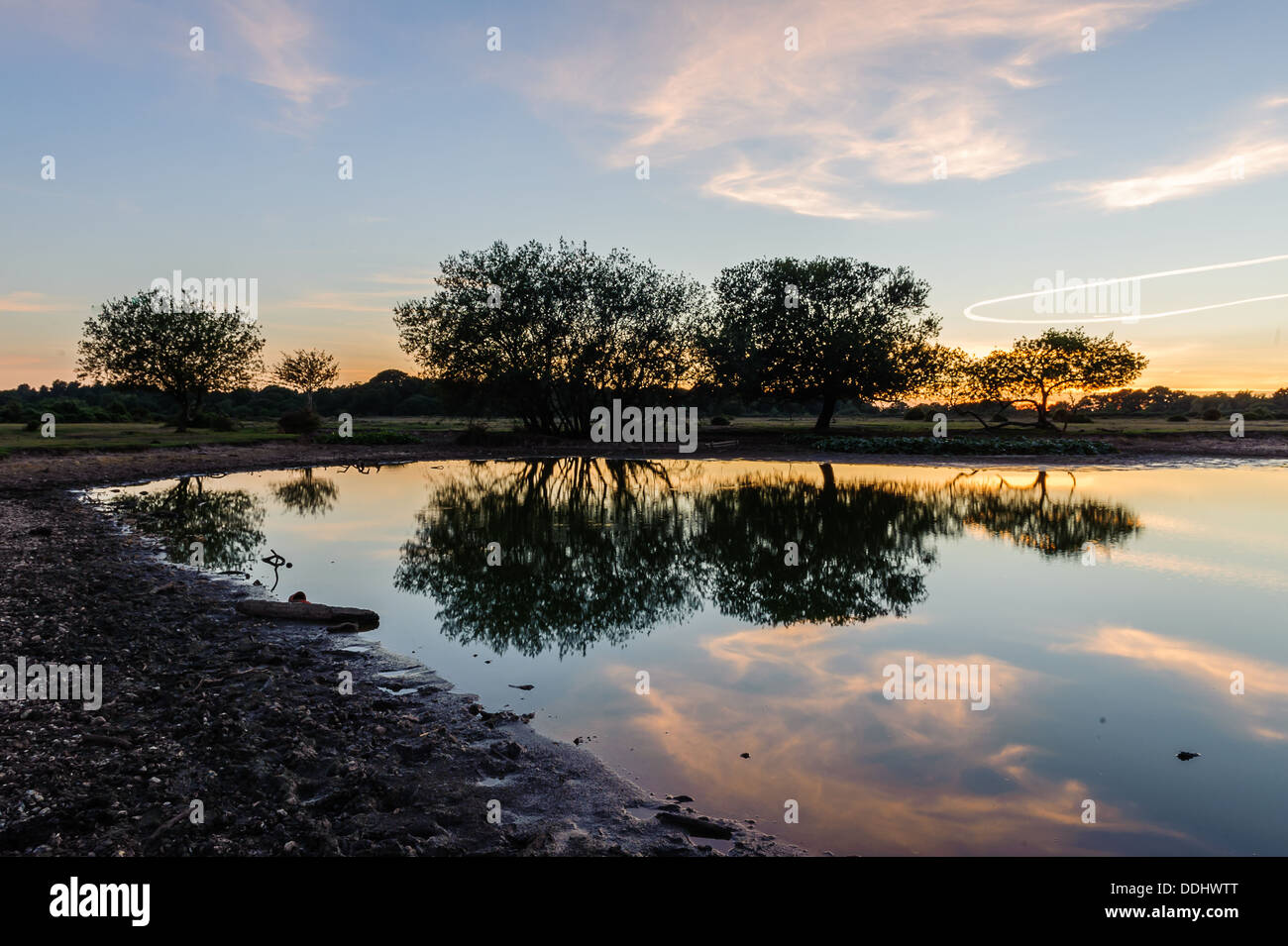 Janesmoor Pond New Forest at sunset amazing how little water in the ...