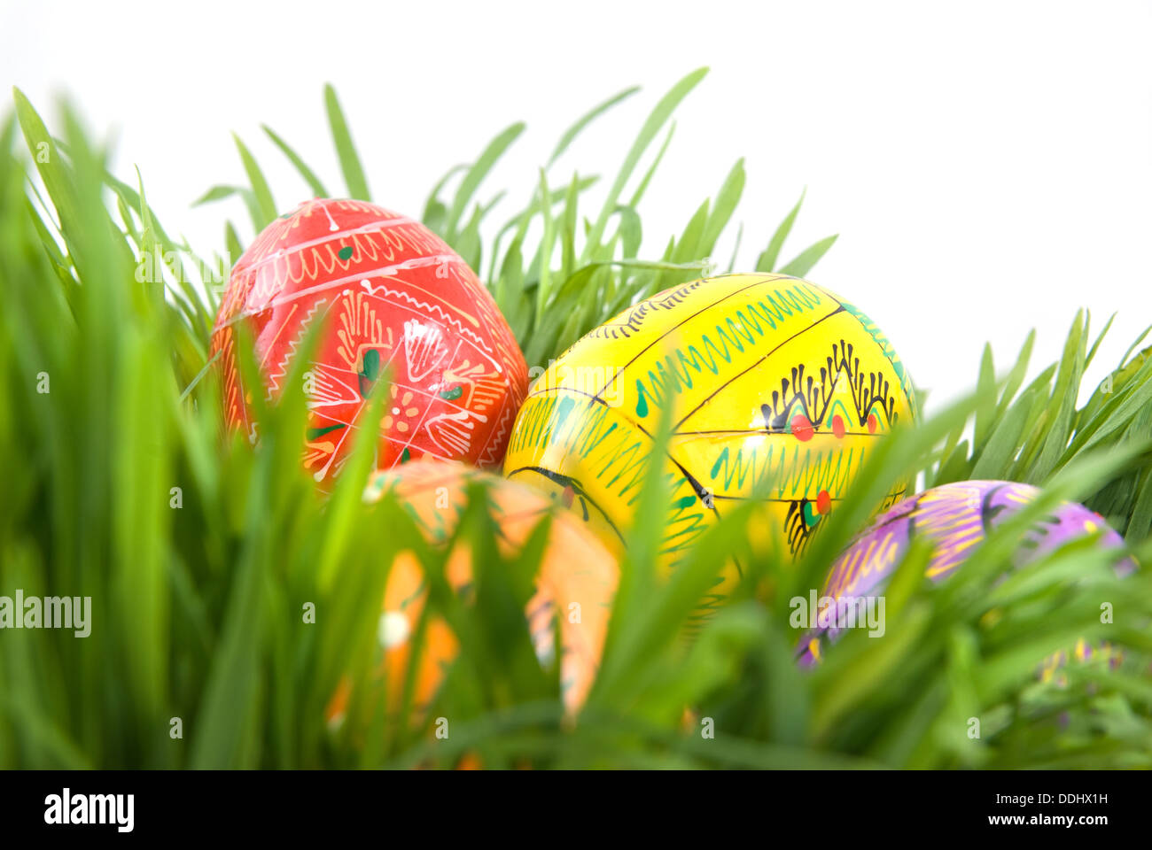 color easter eggs in nest from green grass on white Stock Photo - Alamy