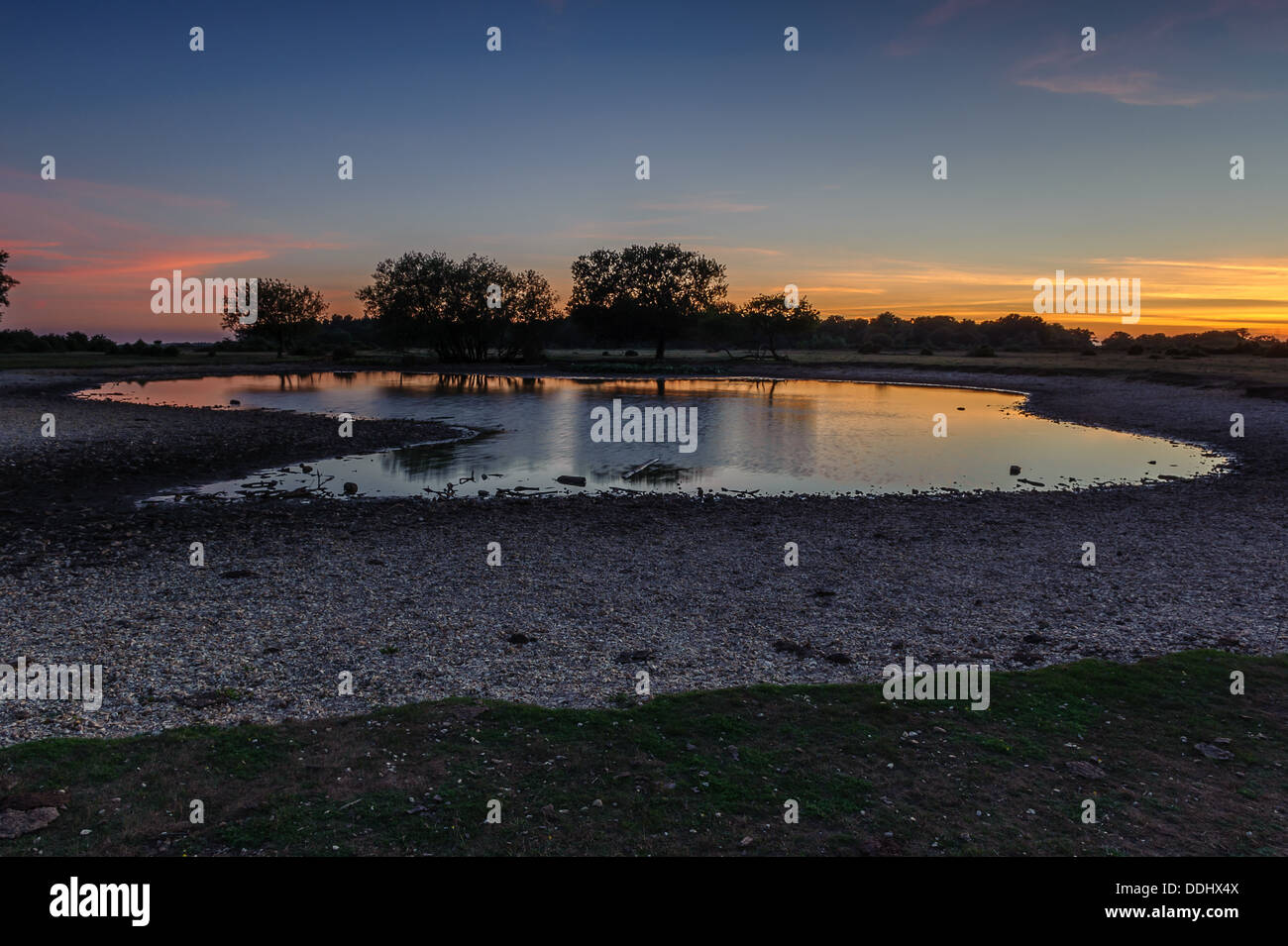 Janesmoor Pond New Forest at sunset amazing how little water in the ...