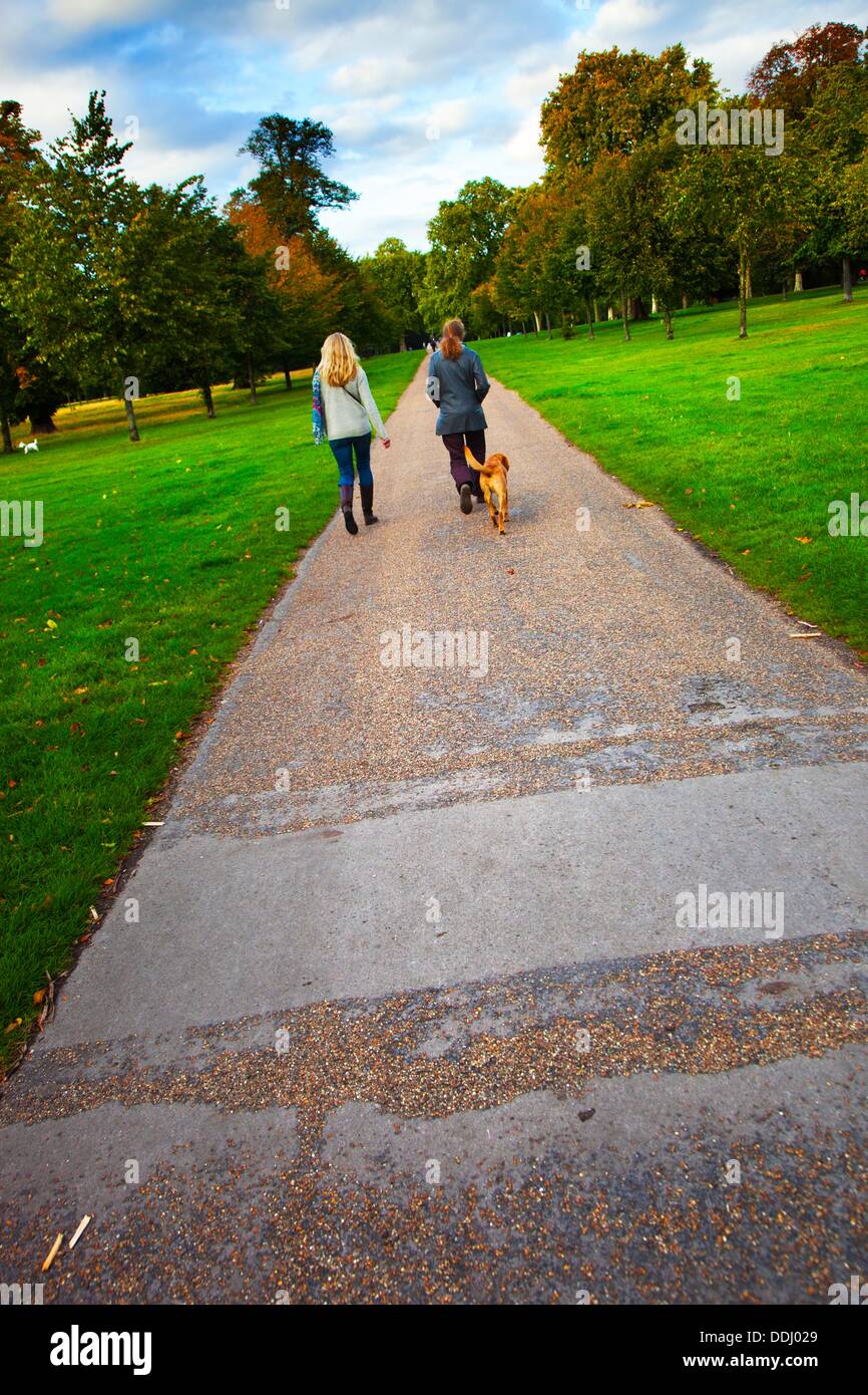Tree kensington gardens hires stock photography and images Alamy