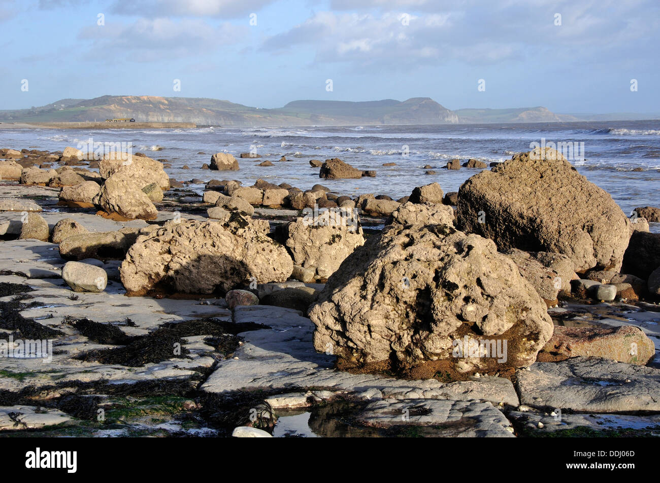 A view of Monmouth Beach, Lyme Regis, with the tide out  Dorset, UK Stock Photo