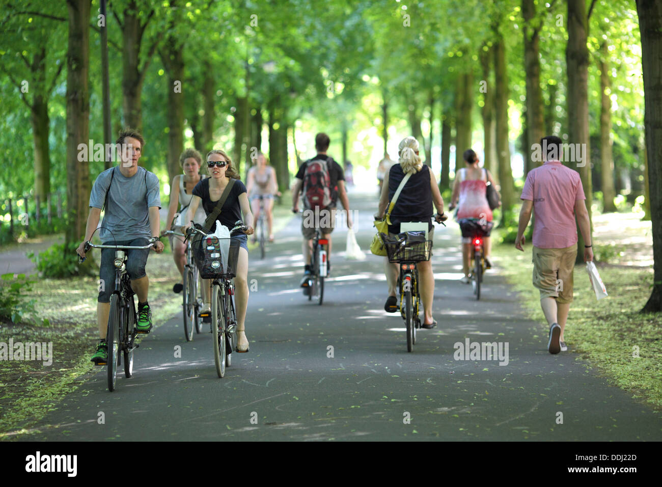 Cyclists on the Promenade in Münster, North Rhine-Westphalia, Germany. Stock Photo