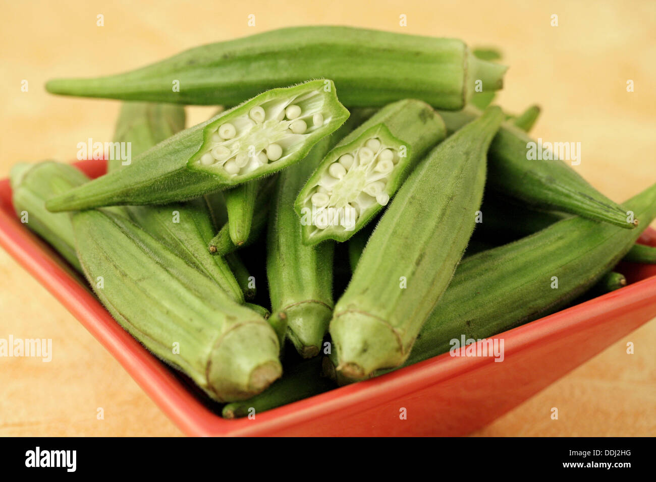 Okra (Hibiscus esculentus or Abelmoschus esculentus Stock Photo Alamy