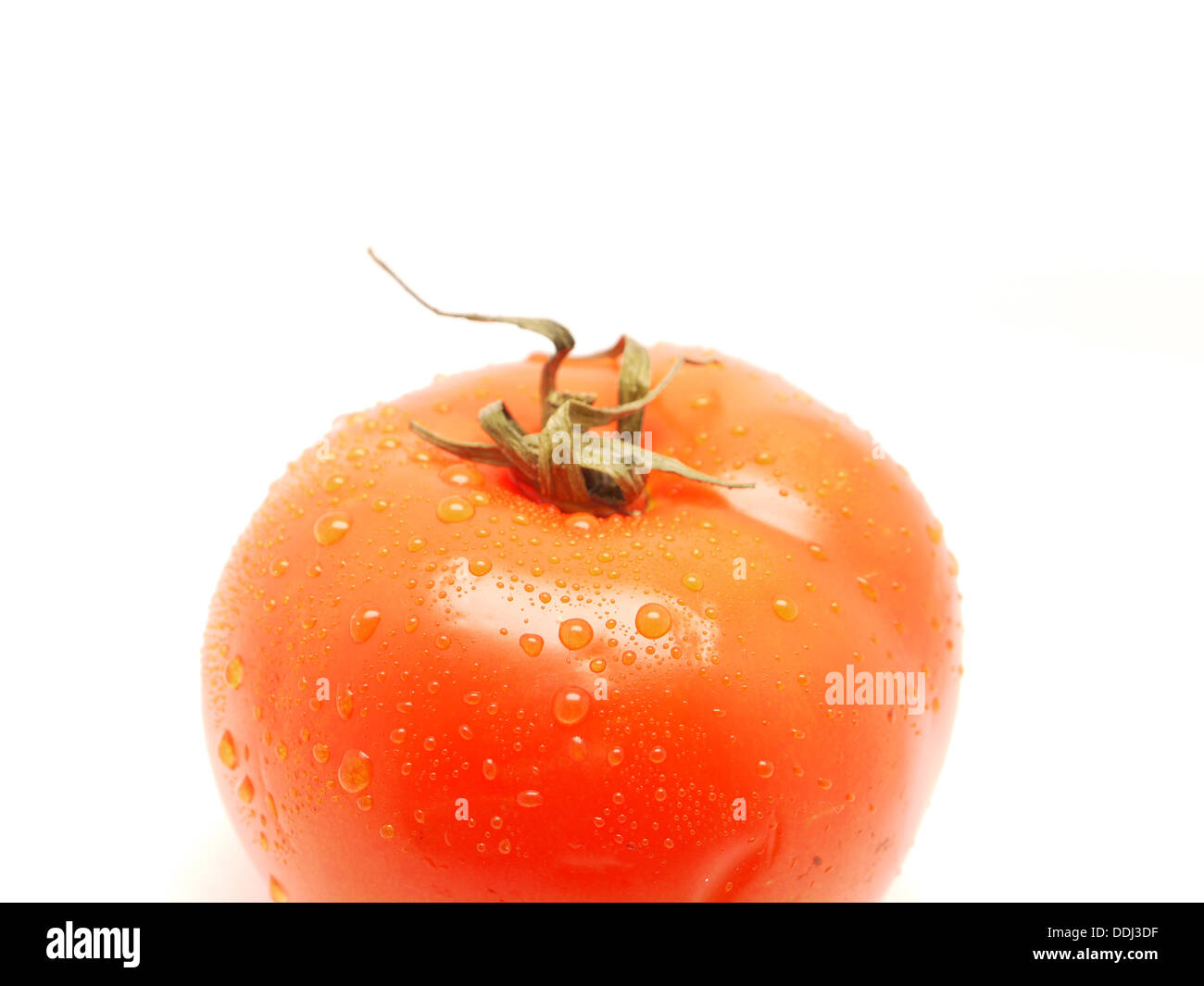 tomato isolated on white background Stock Photo - Alamy