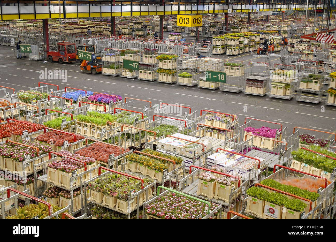 Distribution hall, Flower Auction (Bloemenveiling) Aalsmeer