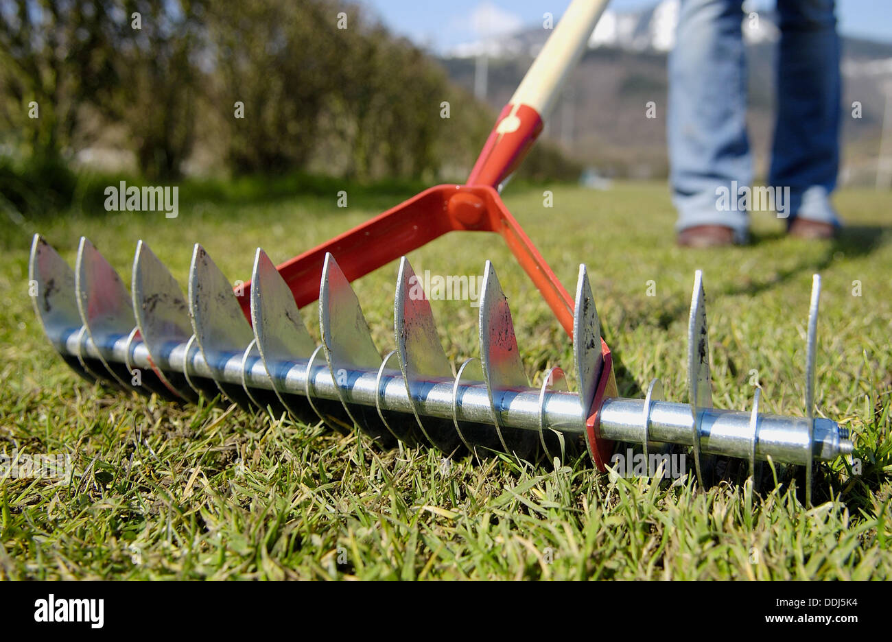 Scarifier, garden tool used to break up soil Stock Photo - Alamy