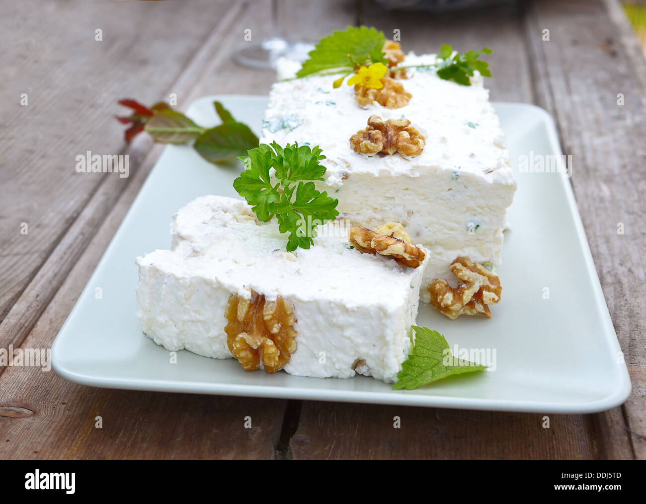 Walnut Cream Cheese Terrine Stock Photo Alamy