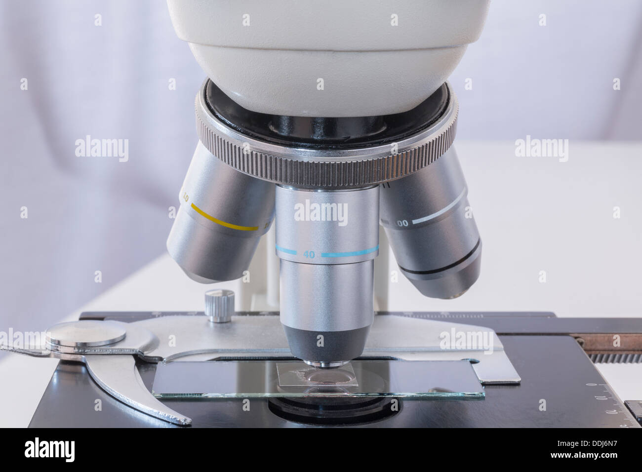 Close up of slide under microscope hires stock photography and images