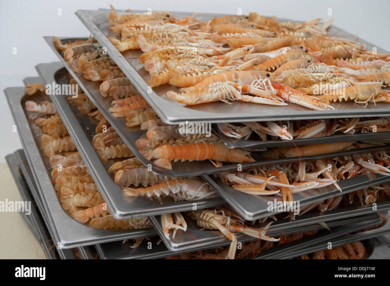 Banquet cuisine lobster seafood hi-res stock photography and images - Alamy