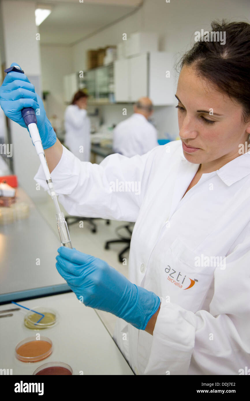 Microbiology laboratory. Microbiological tests of food. AZTI-Tecnalia. Technological Centre specialised in Marine and Food Stock Photo