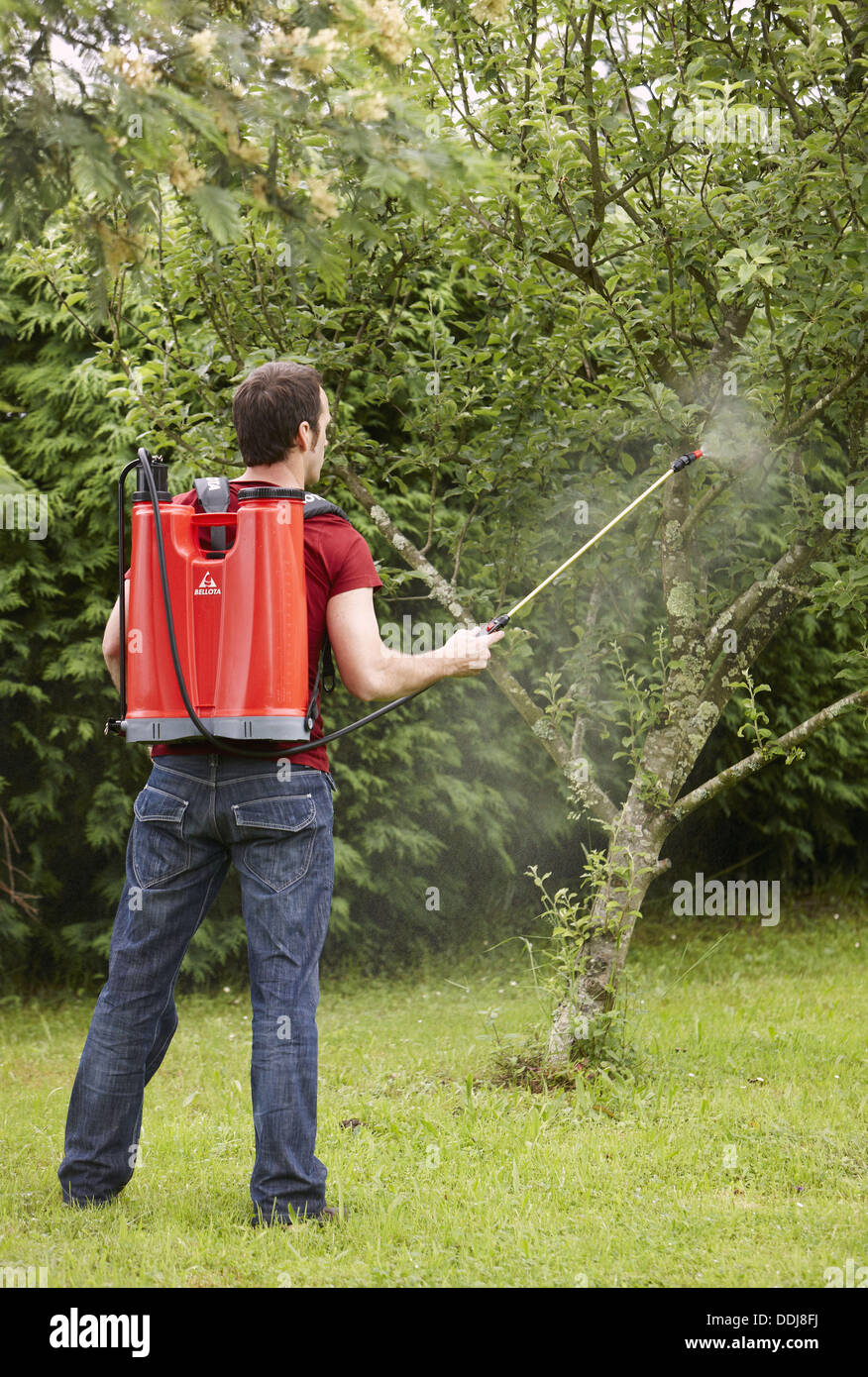 Should I Water After Applying Liquid Fertilizer