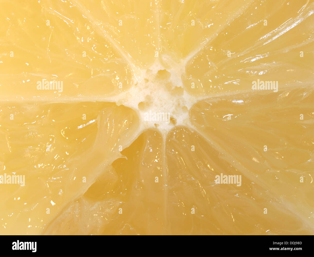 Pulp of a lemon Stock Photo Alamy