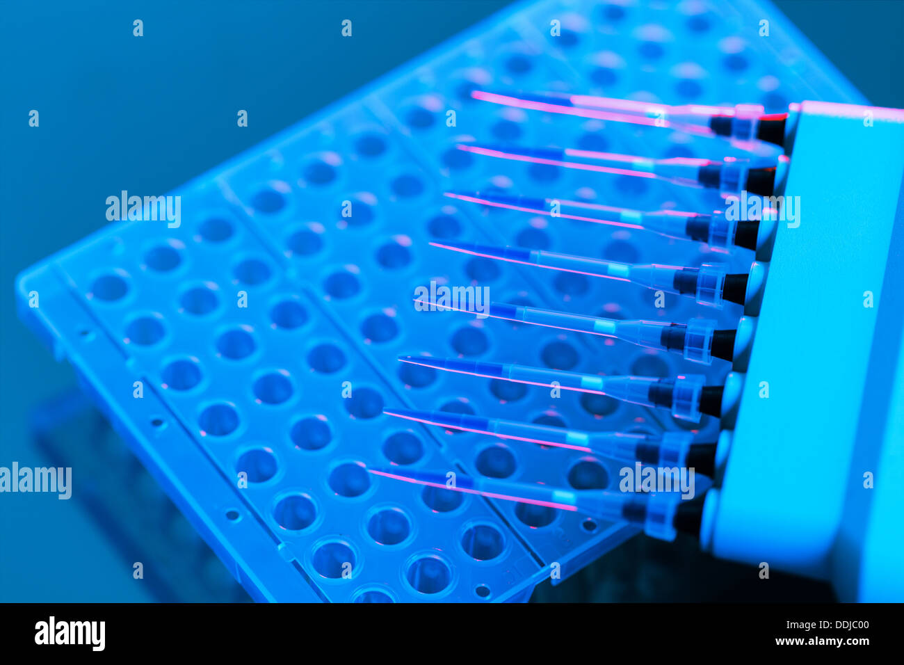 micropipette laboratory for DNA analysis, pipette Stock Photo Alamy