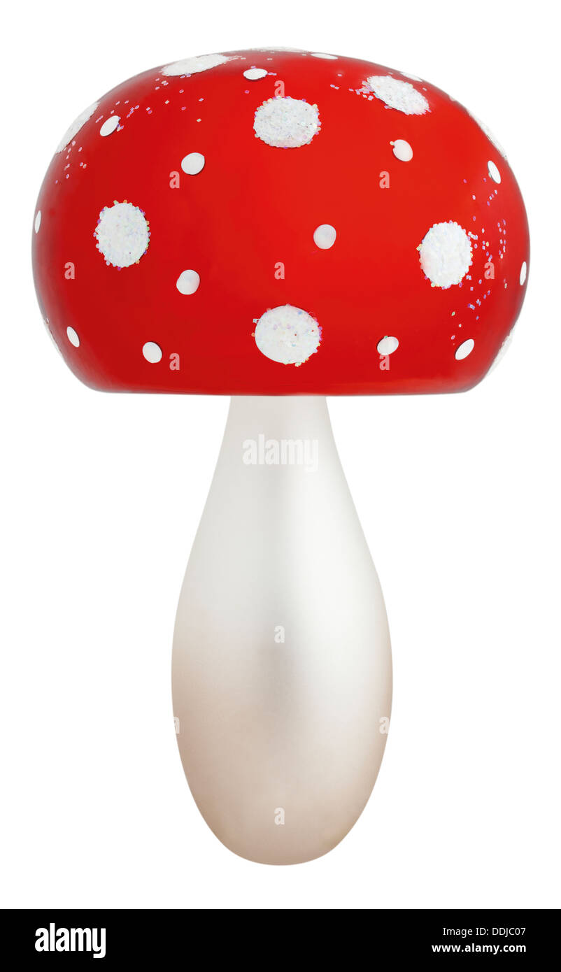 Toadstool against white background, close up Stock Photo