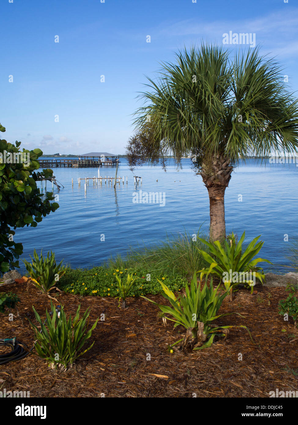 On the banks of the Indian River Lagoon at the Melbourne Beach pier in