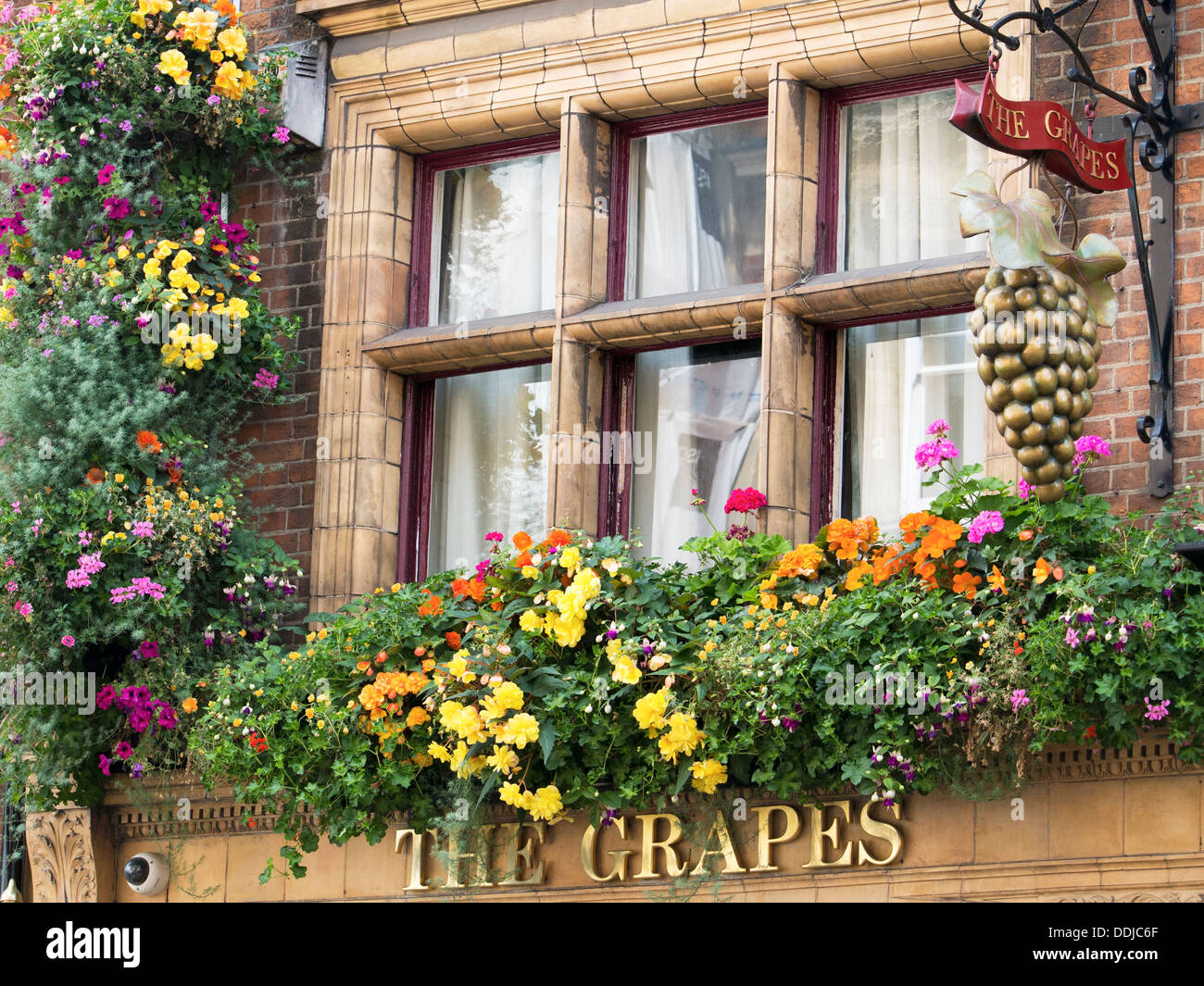 Floral display at the Grapes - a pub in George Street, Oxford Stock Photo