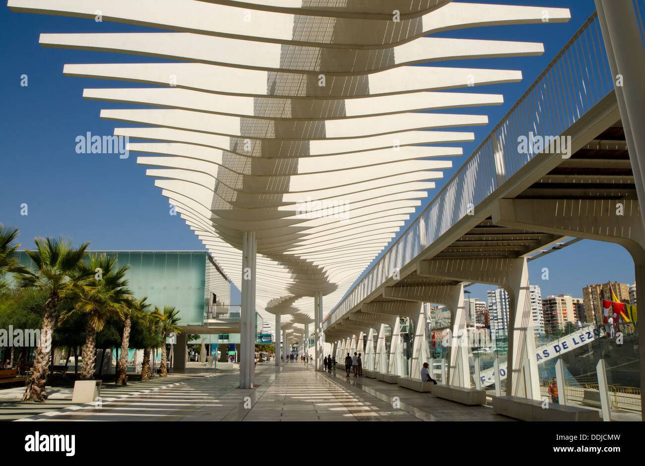 Modern Marina and waterfront promenade in Malaga named “The Palm Stock