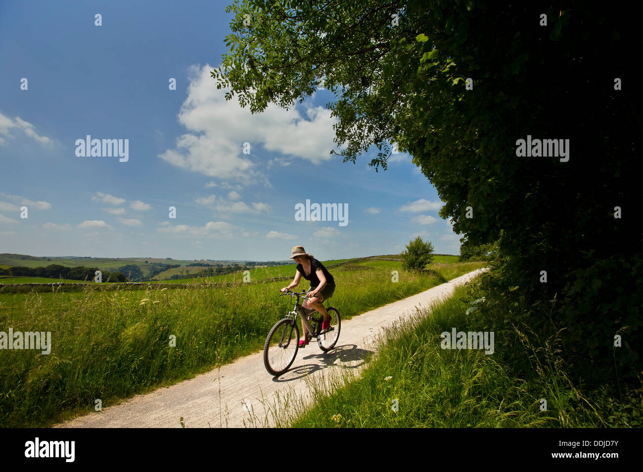 tissington bike trail