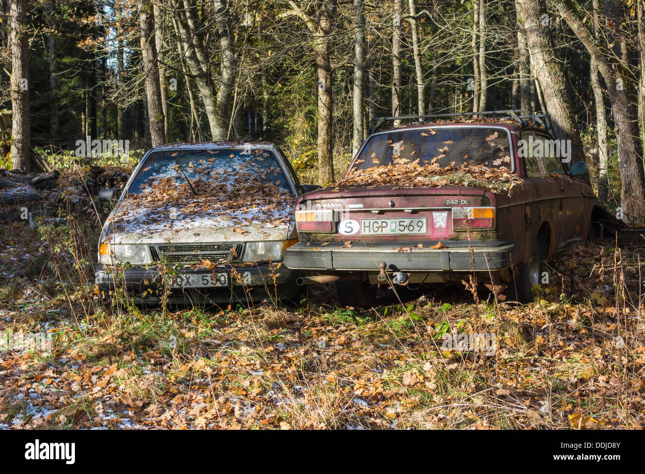 Junk cars standing in the forest Stock Photo Alamy