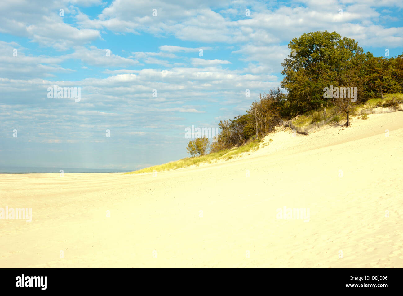 BEACH INDIANA DUNES STATE PARK DUNES NATIONAL LAKESHORE PORTER LAKE