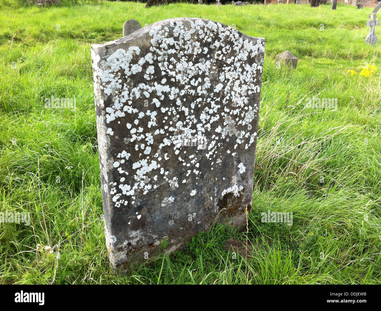TOMBSTONE in grounds of St Mary the Virgin church, Hanbury, Worcestershire, England. Photo Tony Gale Stock Photo
