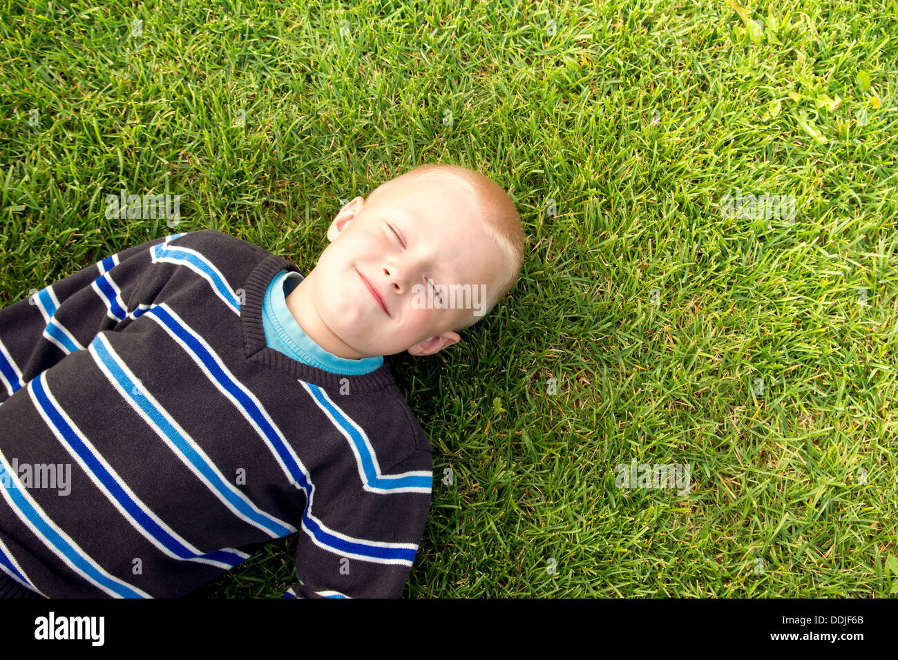 Summer green grass hi-res stock photography and images - Alamy