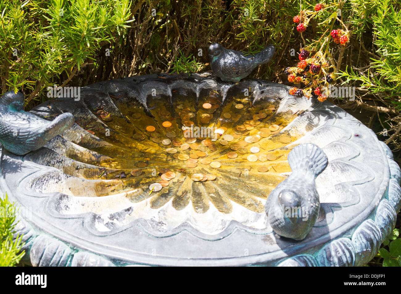 Coins in a bird bath from people hoping for a wish. Stock Photo