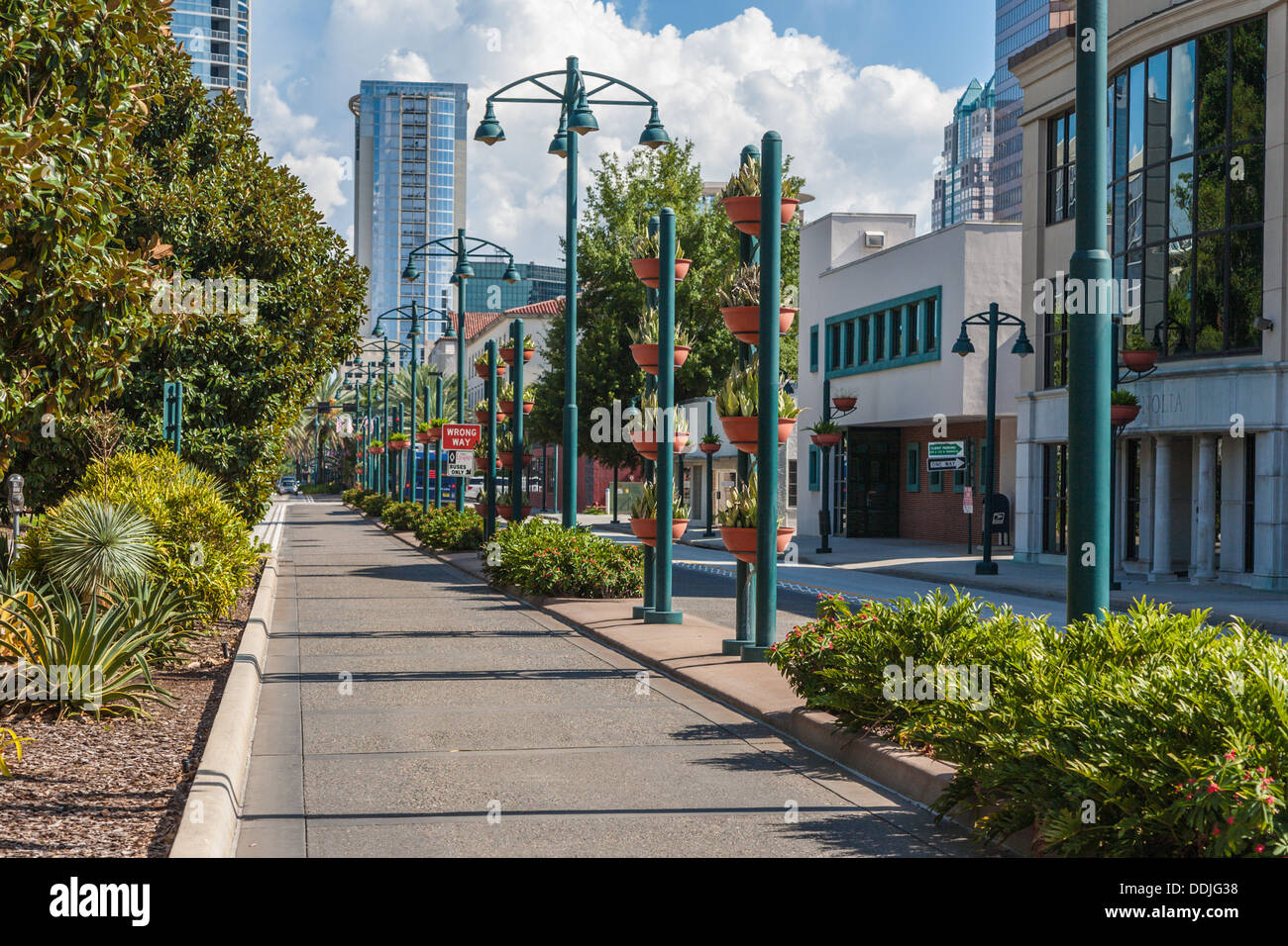 Decorative lamp posts and potted plants along North Magnolia Avenue in