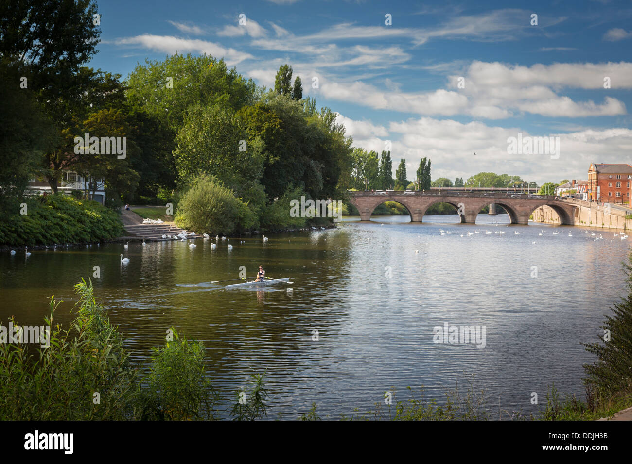 Man rowing on the river Severn Worcester Worcestershire England Stock
