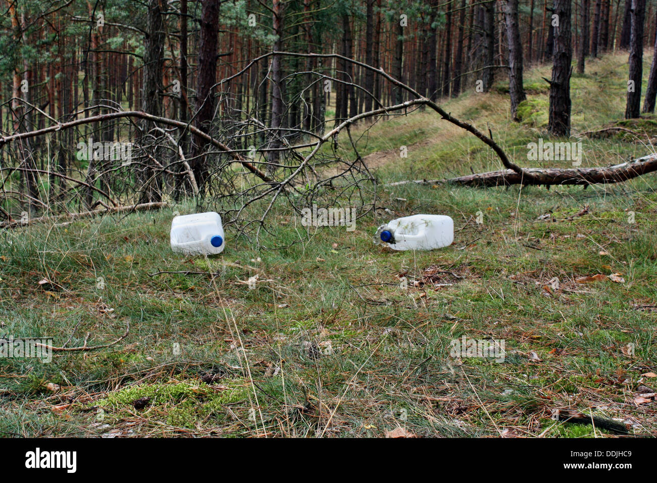Wild dump in the forest Stock Photo - Alamy