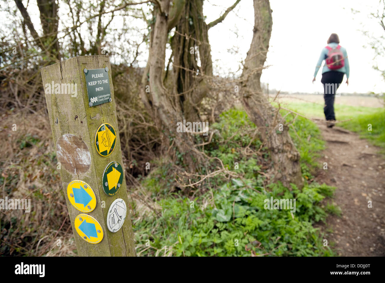 Icknield way path uk hires stock photography and images Alamy