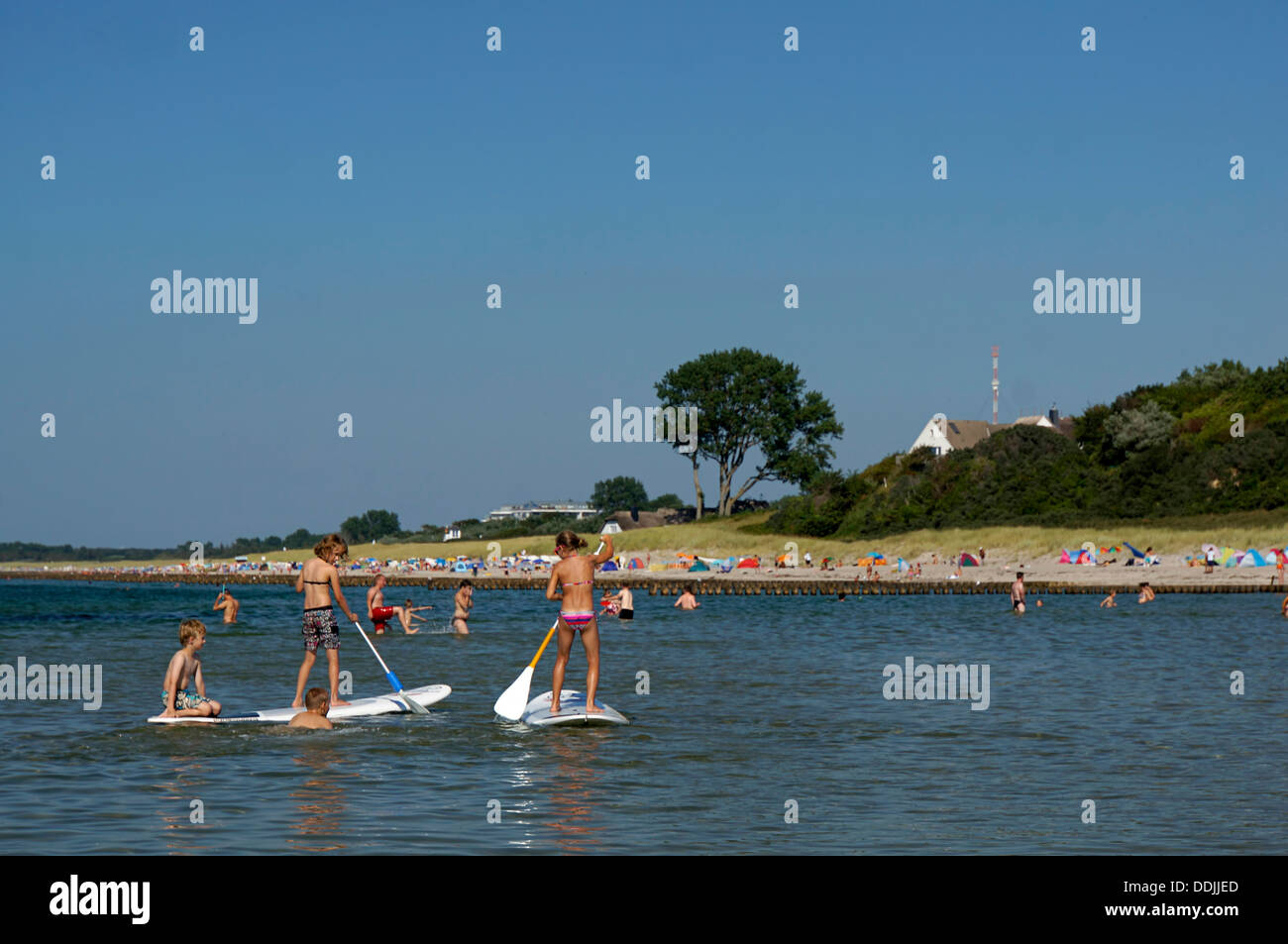 Kids on paddle surfboard at Ahrenshoop beach, Baltic Sea, Germany Stock Photo