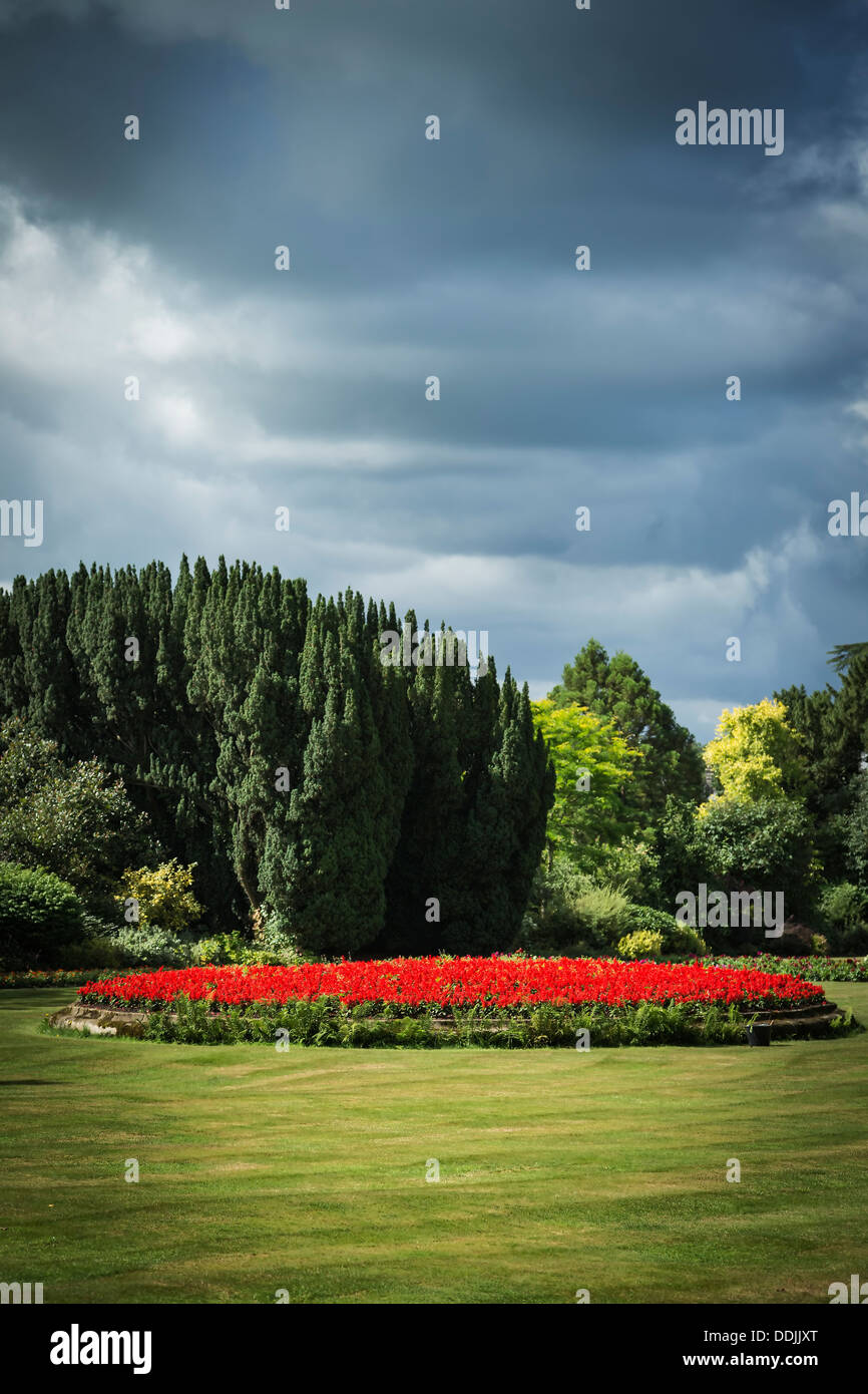 Round flower bed hi-res stock photography and images - Alamy