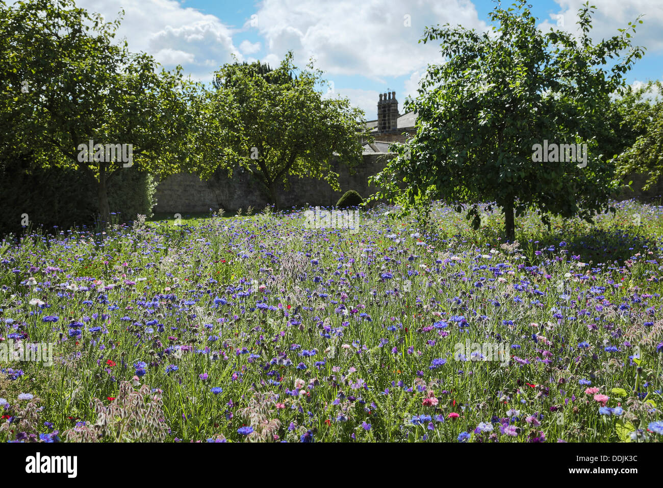 Ripley castle hires stock photography and images Alamy