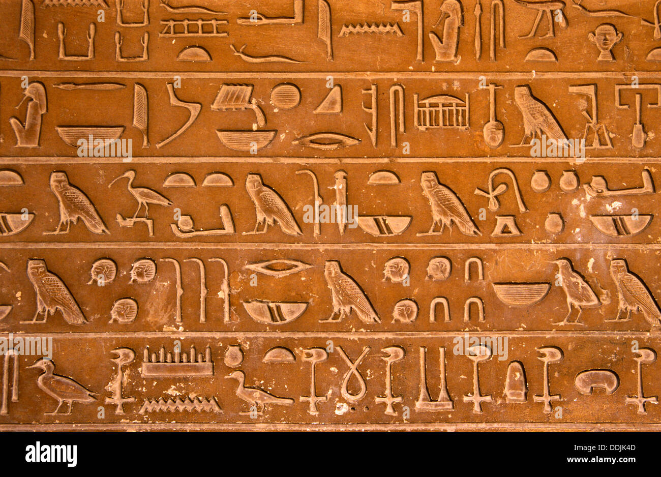 Tomb of Idu, top official -hieroglyphics, The Giza Necropolis, Cairo, Egypt, Africa Stock Photo