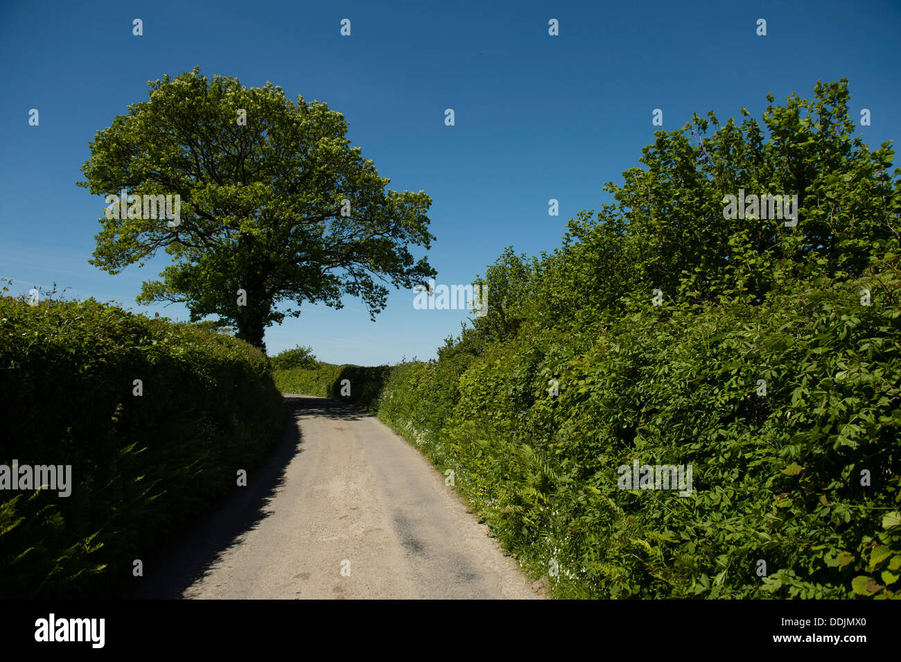 Lane rural road hi-res stock photography and images - Alamy