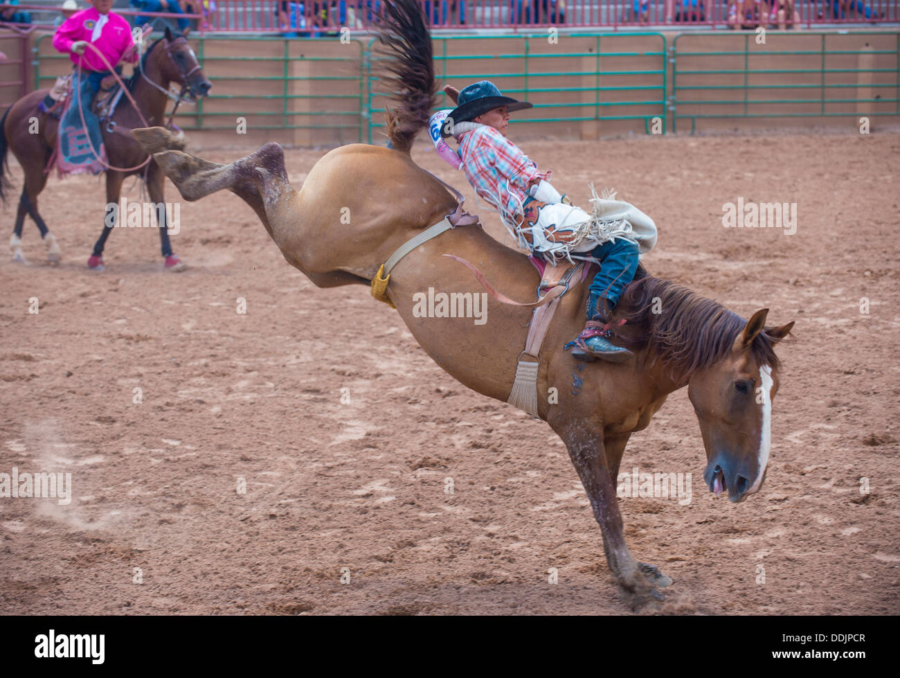 Cowboy Participates in a Bucking Horse Competition at the 92nd annual