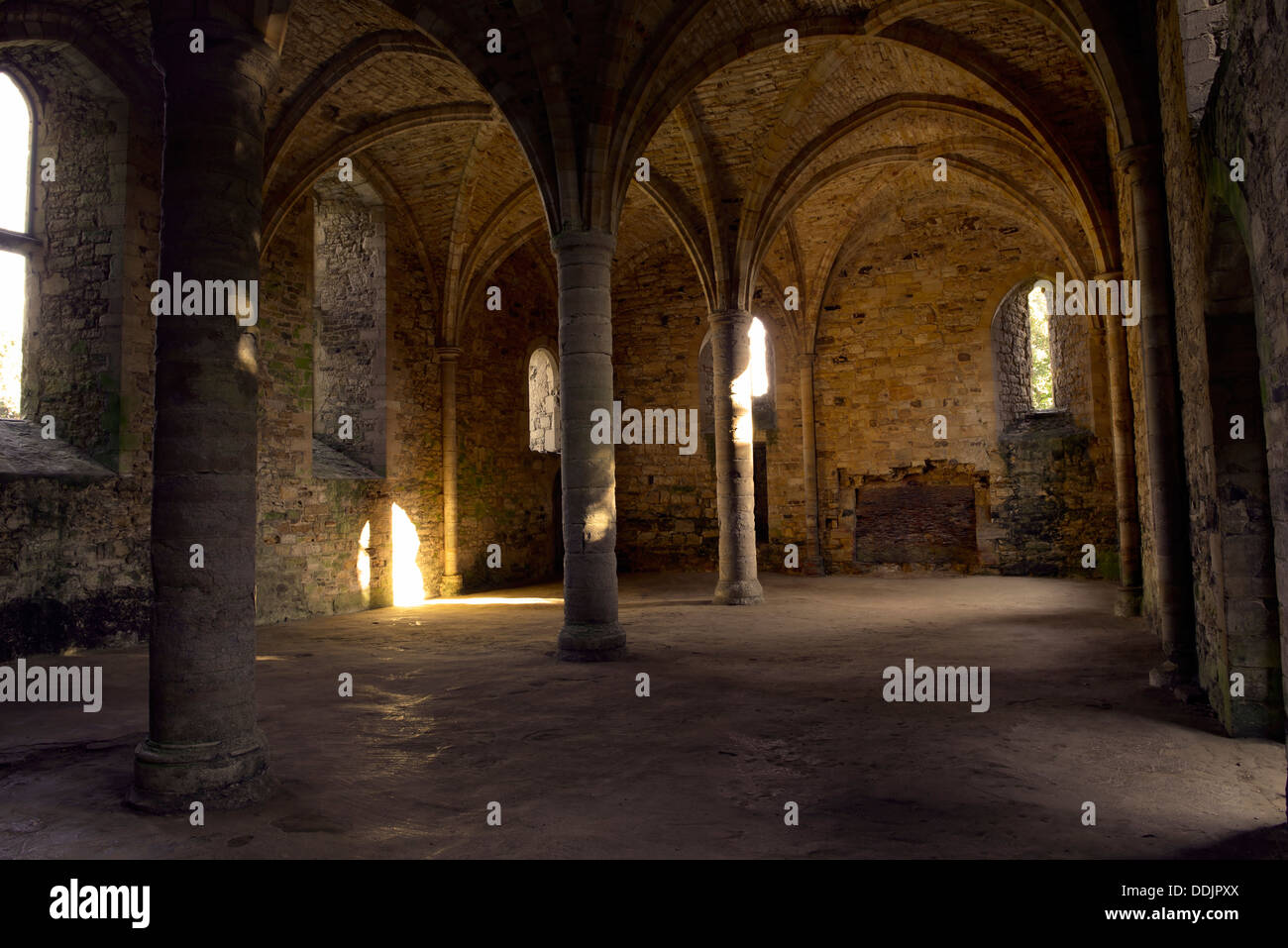 The undercroft of the novice's dormitory, Battle Abbey, East Sussex, UK Stock Photo